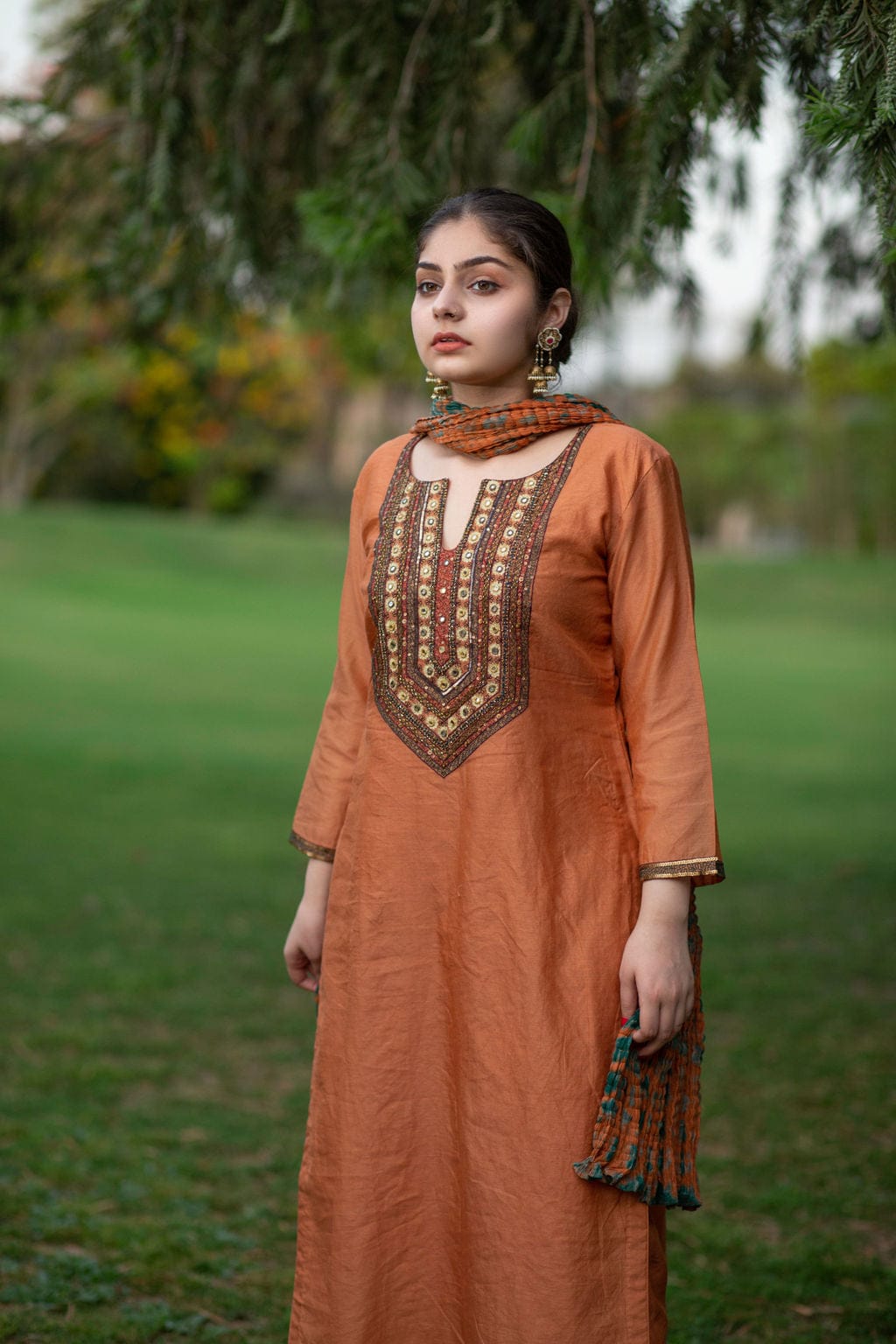 Rust Neck Embroidery Outfit