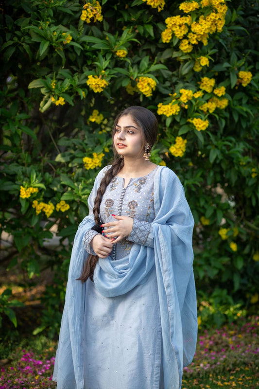 Powder Blue Neck Embroidery Outfit